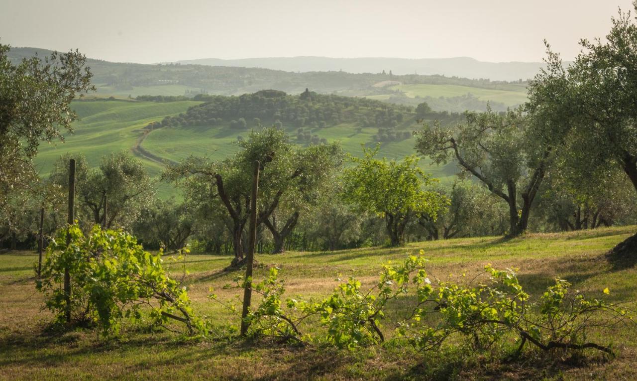 Holiday Home Arpicella Pienza Exterior foto